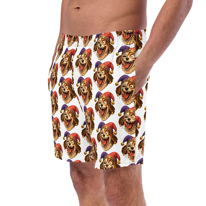 kingdoms jester 2 Men's Swim Trunks product image (2)