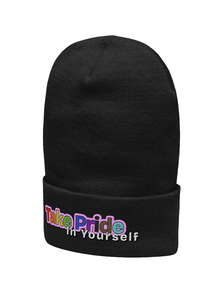 Take Pride In Yourself - Yupoong Cuffed Beanie product image (2)