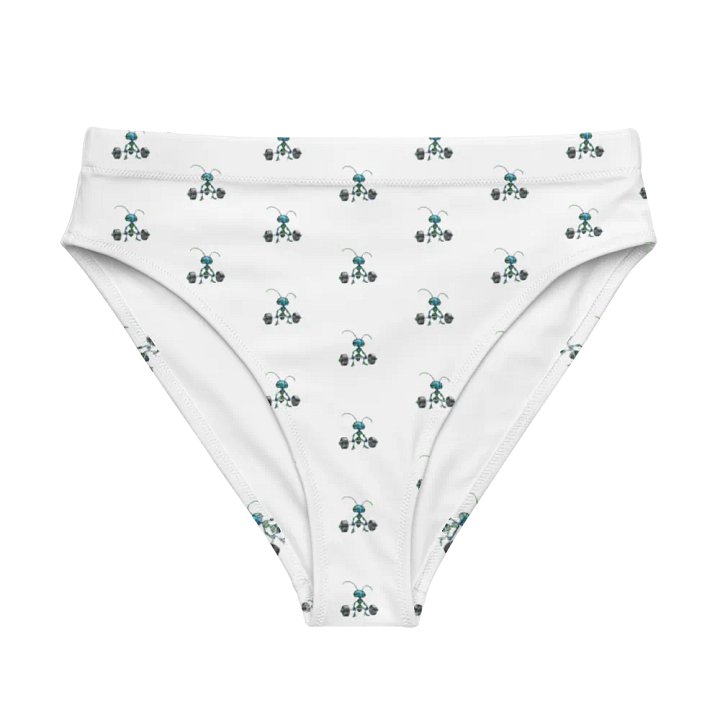 EcoChic High-Waisted Bikini Bottoms product image (1)