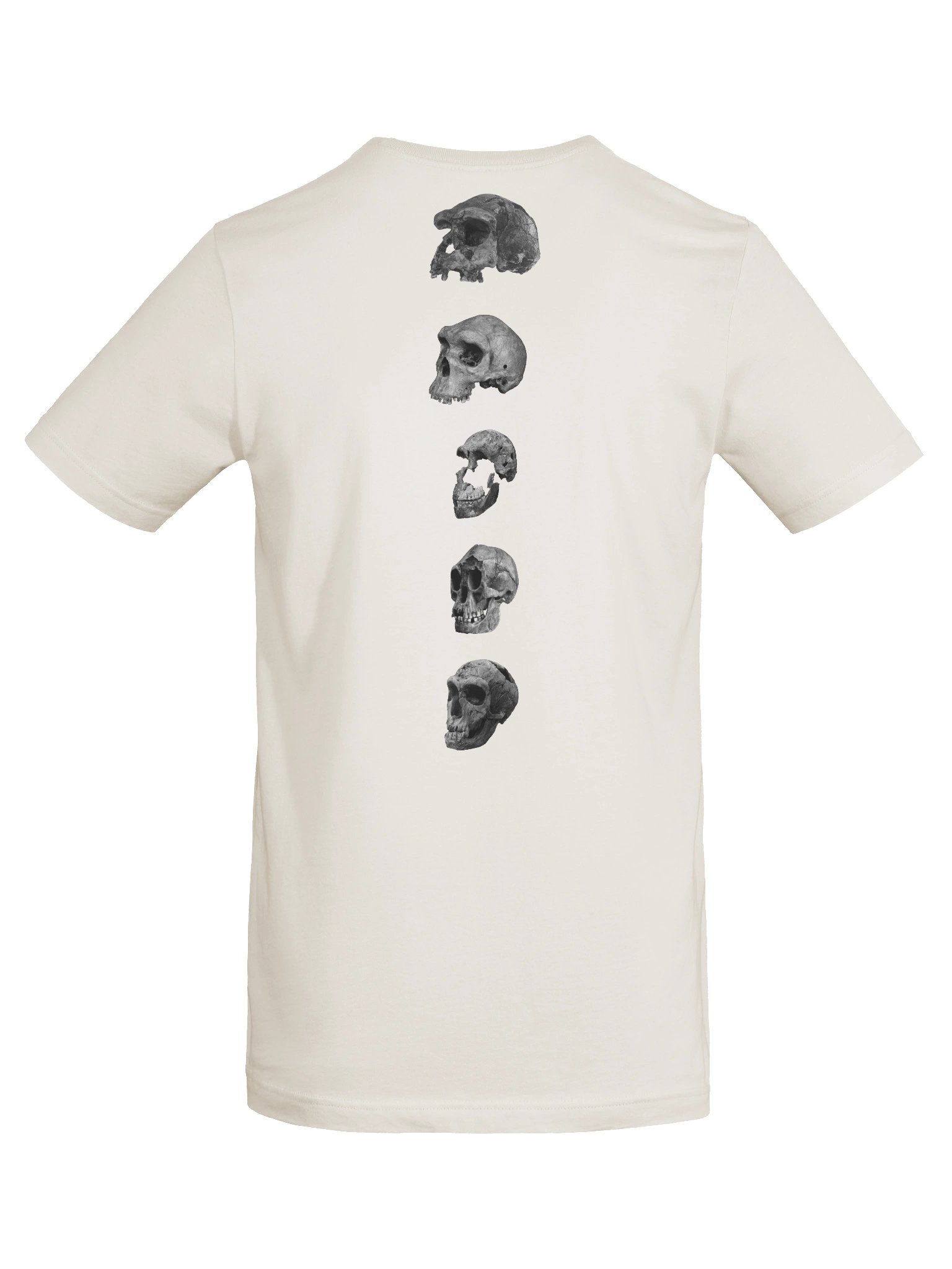 Skull Collection T-Shirt Light product image (6)