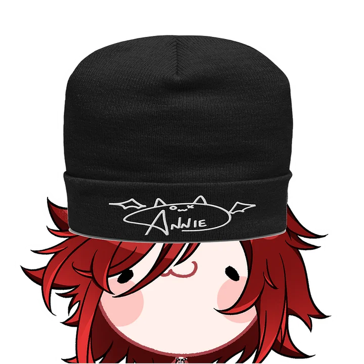 Embroidered Signed Beanie product image (1)