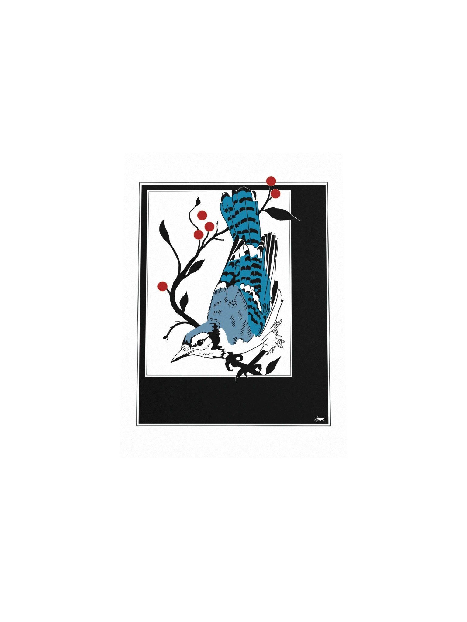 Bluejay product image (7)