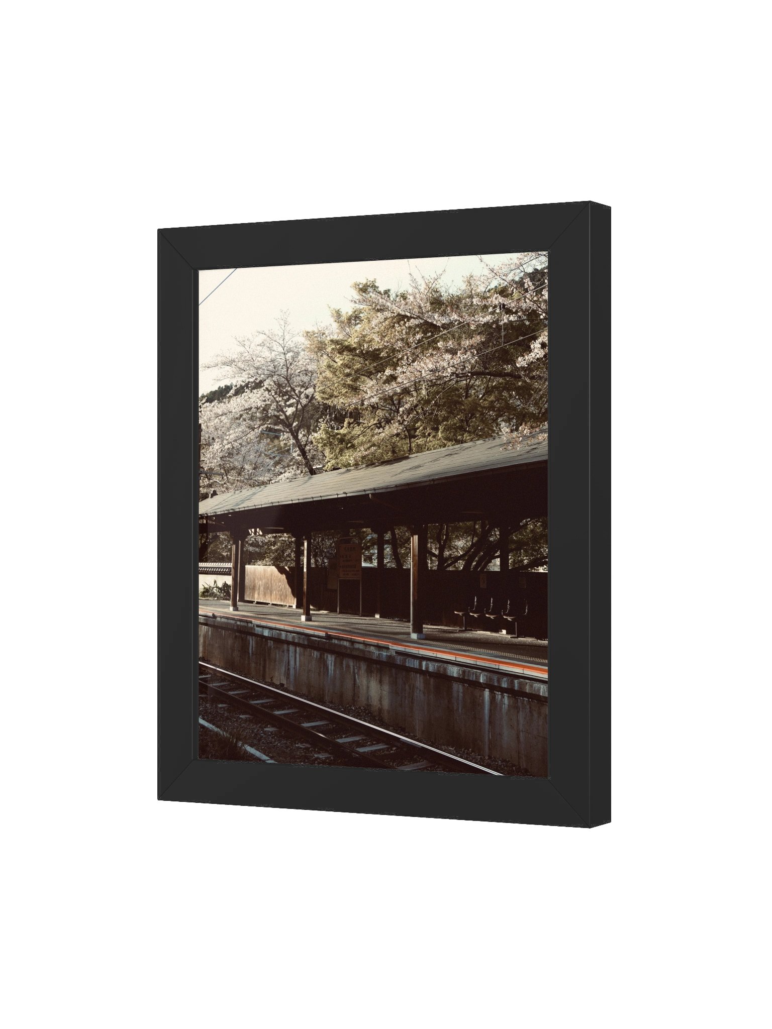 Japan Train Sation with Sakura product image (50)
