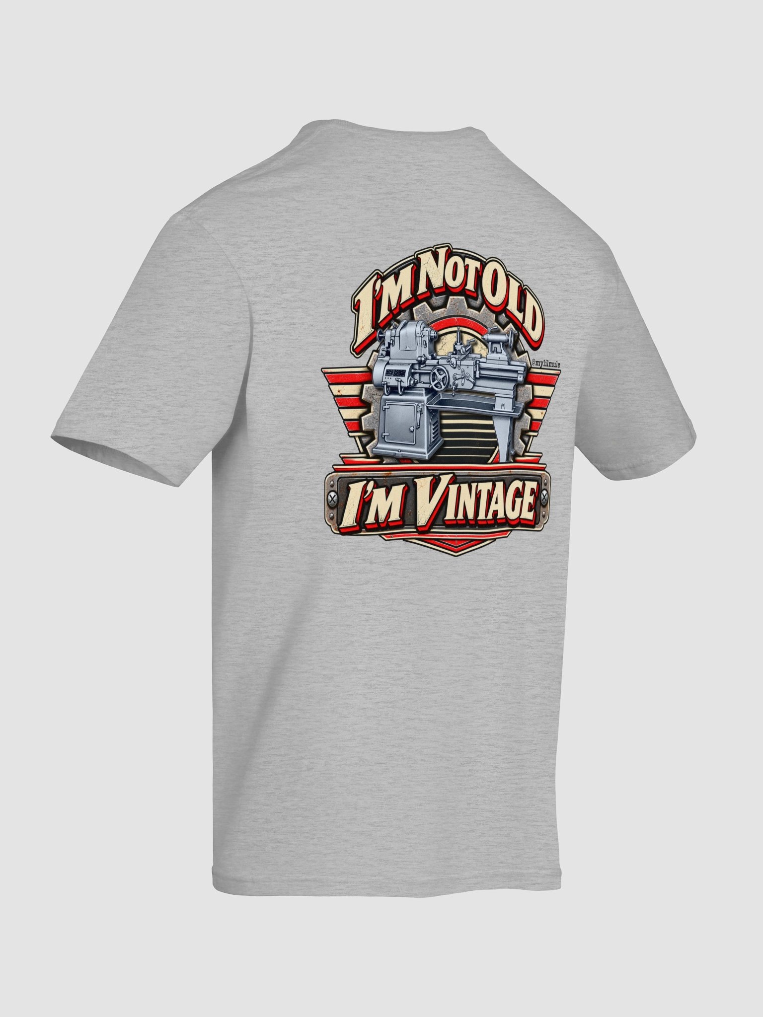 Softstyle T-Shirt (Lathe) product image (8)