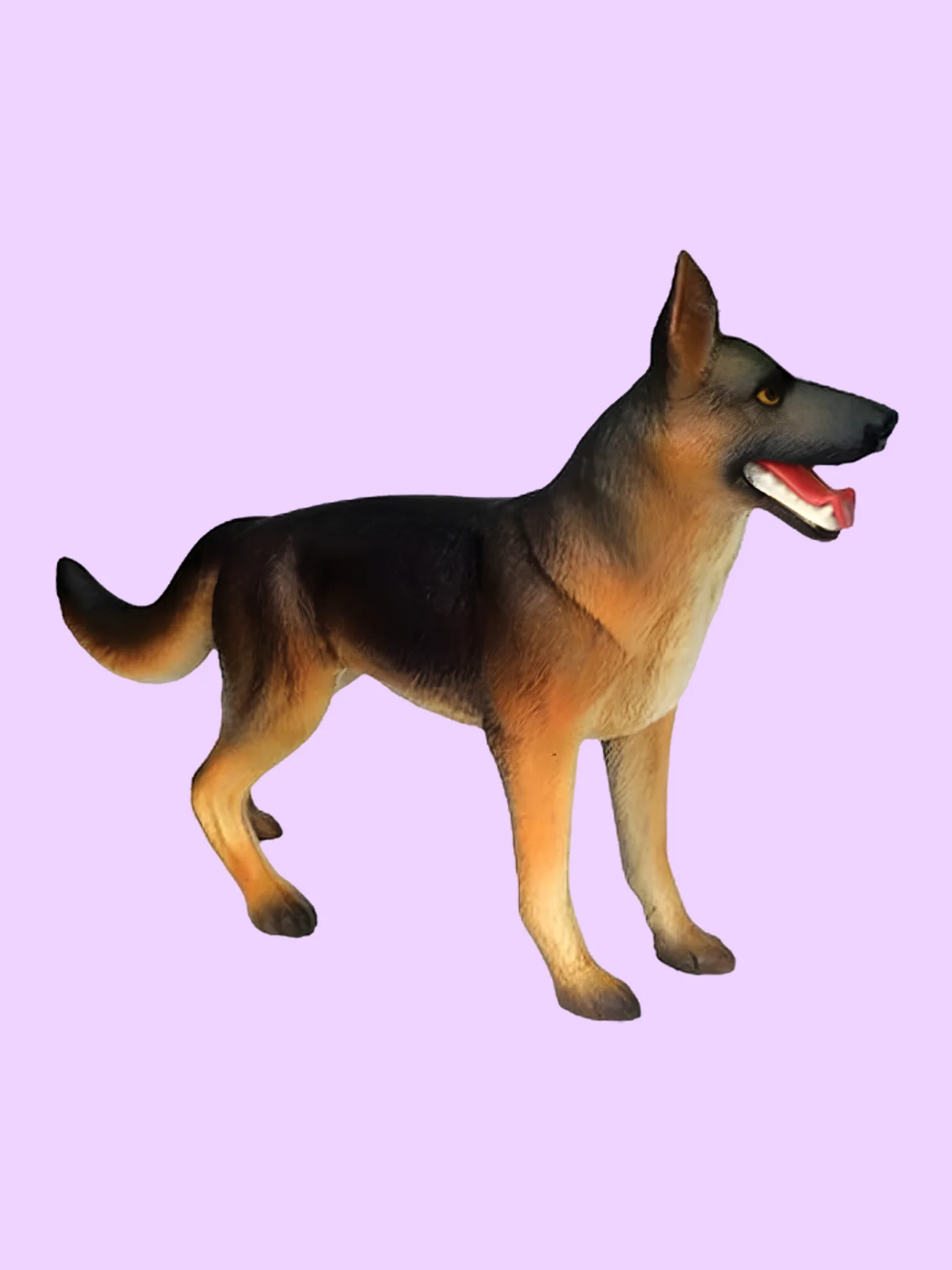 Dog Anatomy Model with Removable Organs (28 Parts) product image (2)
