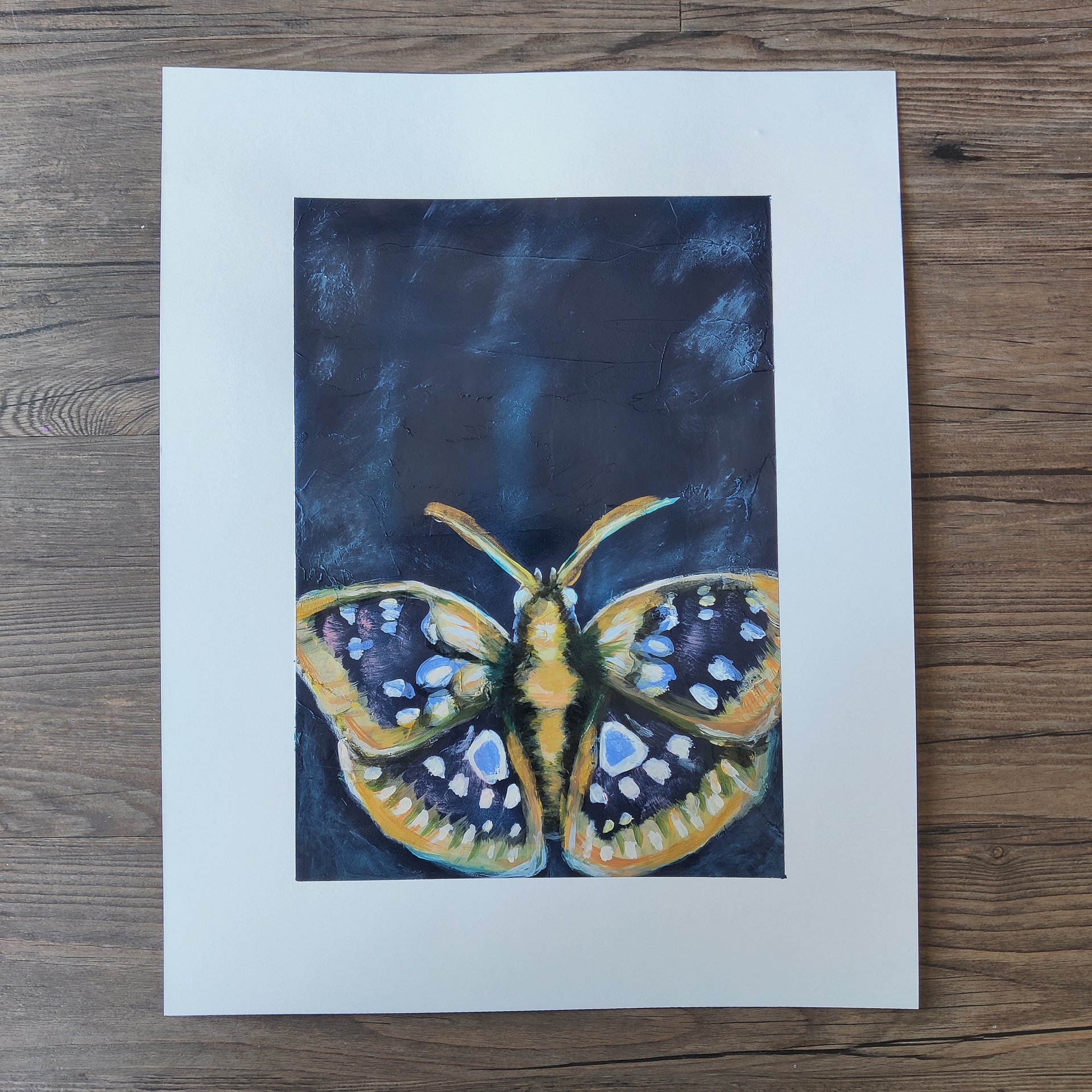 Moth Collection product image (4)