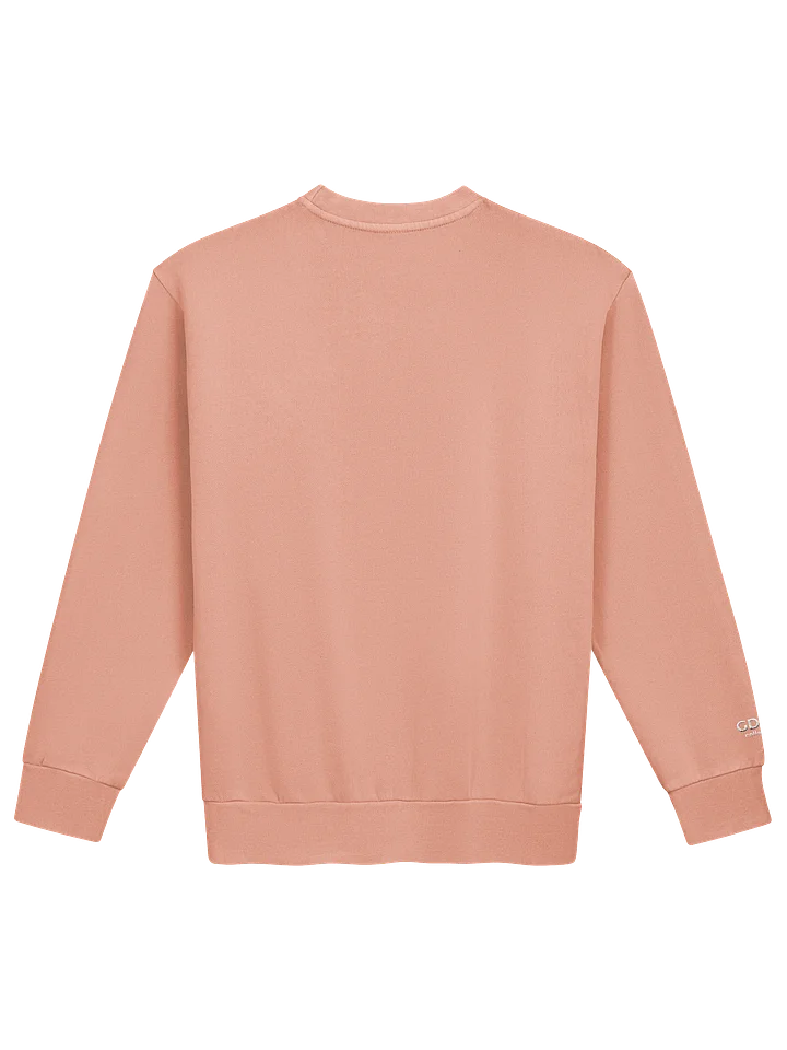 GDNB ARCH SWEATER product image (14)