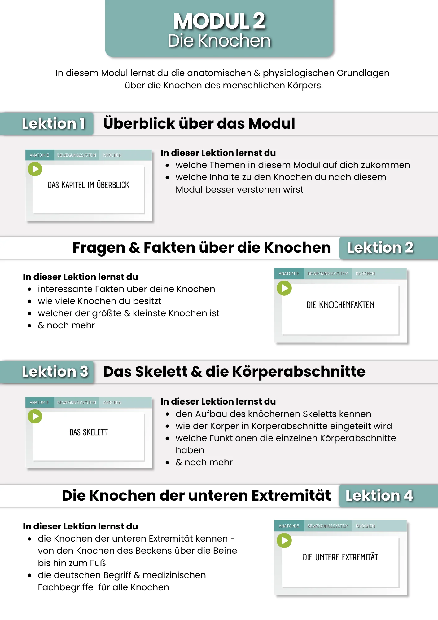 Das Bewegungssystem | der Grundlagenkurs product image (4)