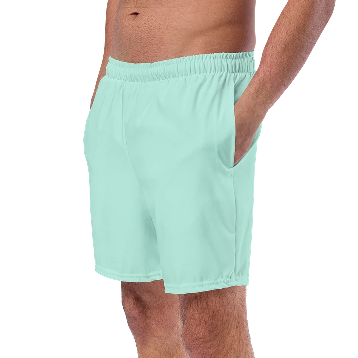 Mint Aqua Swim Trunks product image (2)