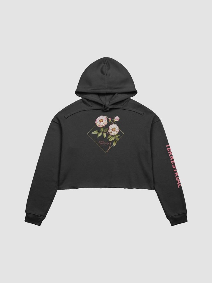 LIMITED EDITION - Grow Positivity Crop Hoodie product image (2)