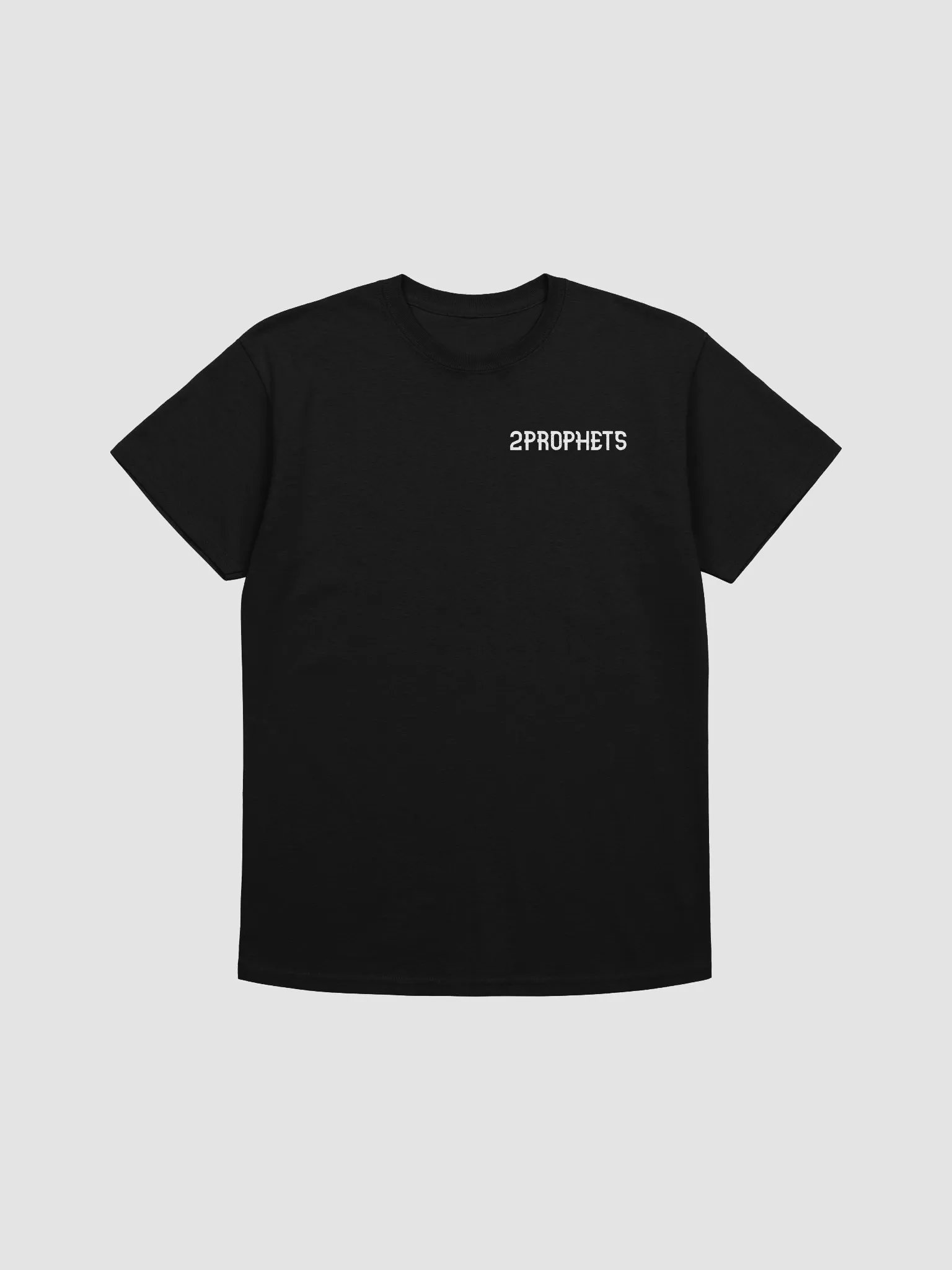 2PROPHETS Heavyweight Tee (PROMO2) product image (1)