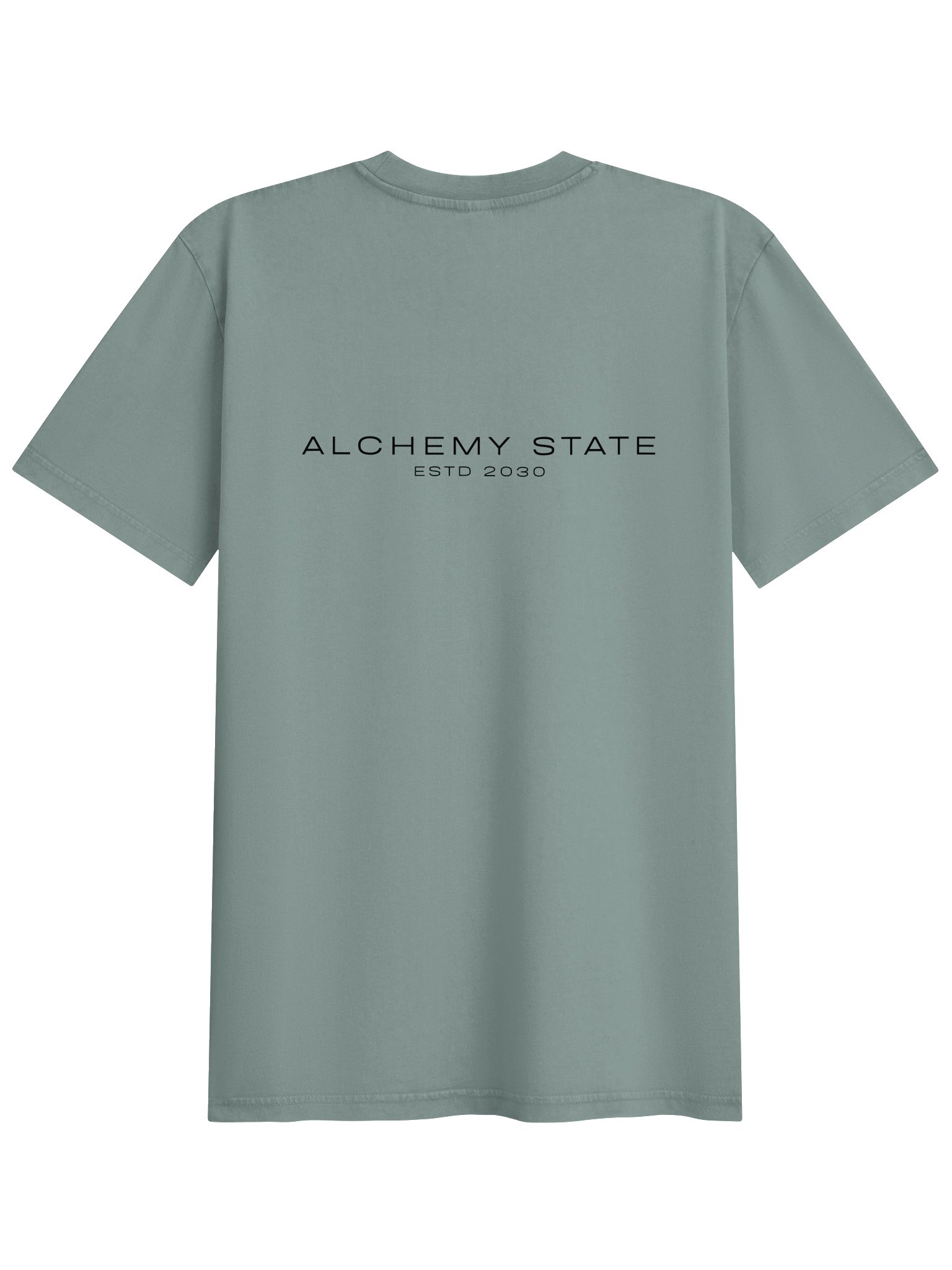 Unapologetic — Fearlessly Owning It --Unisex Garment Dyed T-Shirt product image (4)