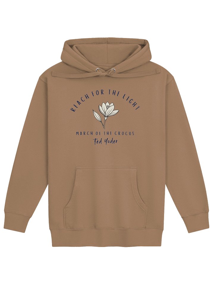 Reach For The Light (MOC) Hoodie product image (1)