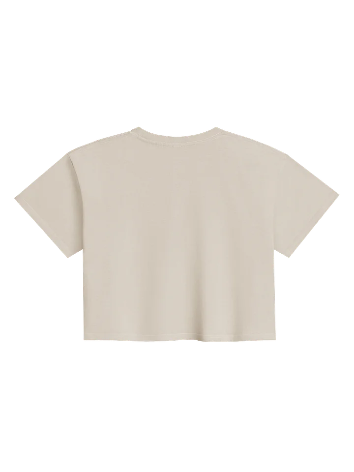 BTS 2.0 Arirang Tee product image (6)