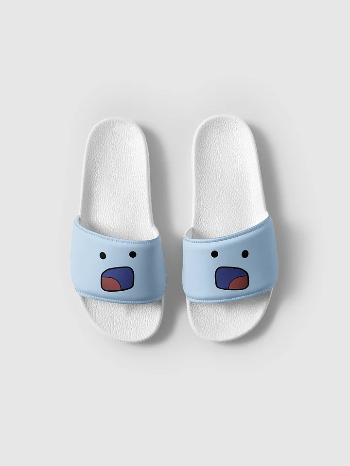 D: slides product image (1)