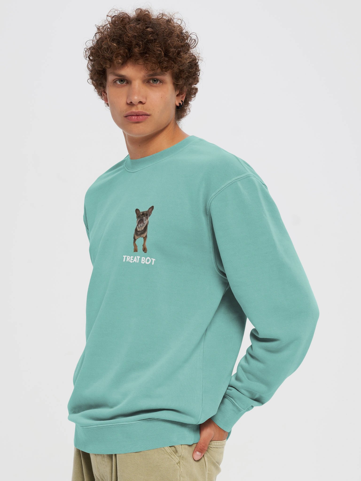 TreatBot OG Sweatshirt product image (5)
