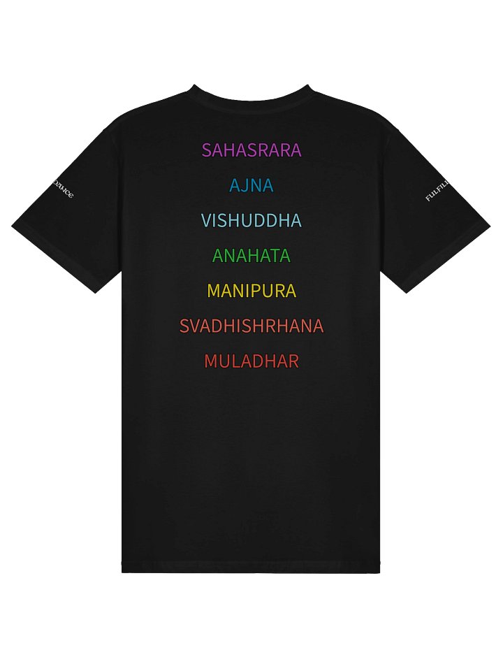 Chakra Harmony "Chakras of Teeddy" Tee product image (9)