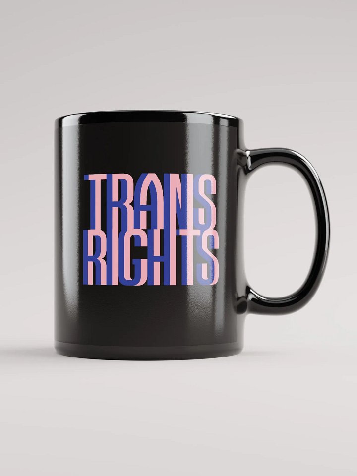 Trans Rights Mug product image (1)
