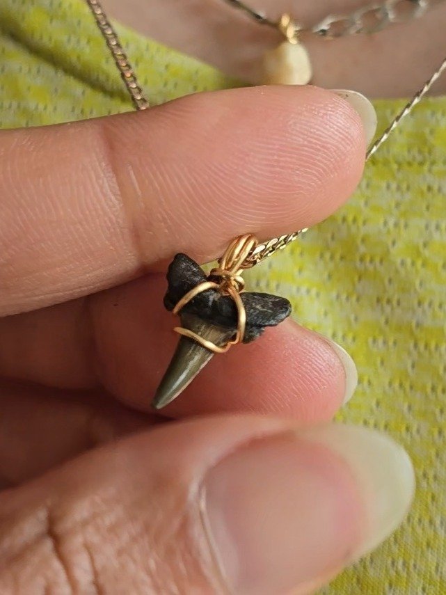 approx. 50 million year old fossil - shark tooth necklace product image (2)