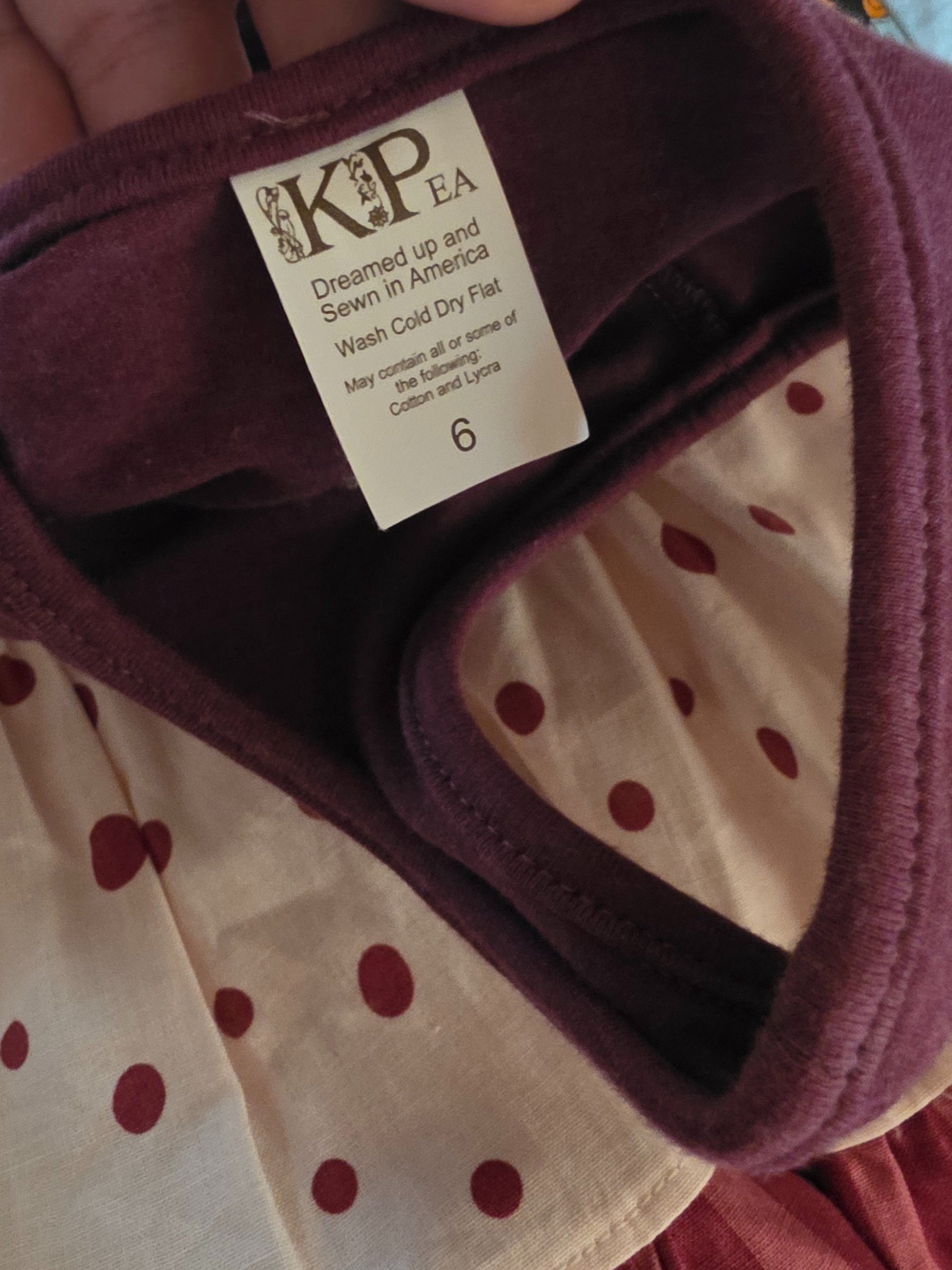 KPEA - Size 6 - GENTLY USED - Fall 3 panel dress product image (4)