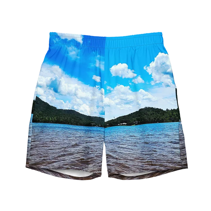 Lake Days Swim Trunks product image (1)