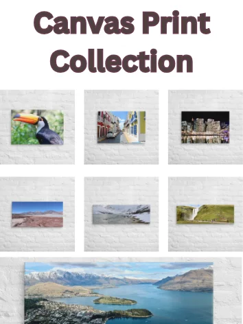 Buzzin Around the World's Photos - Canvas Prints