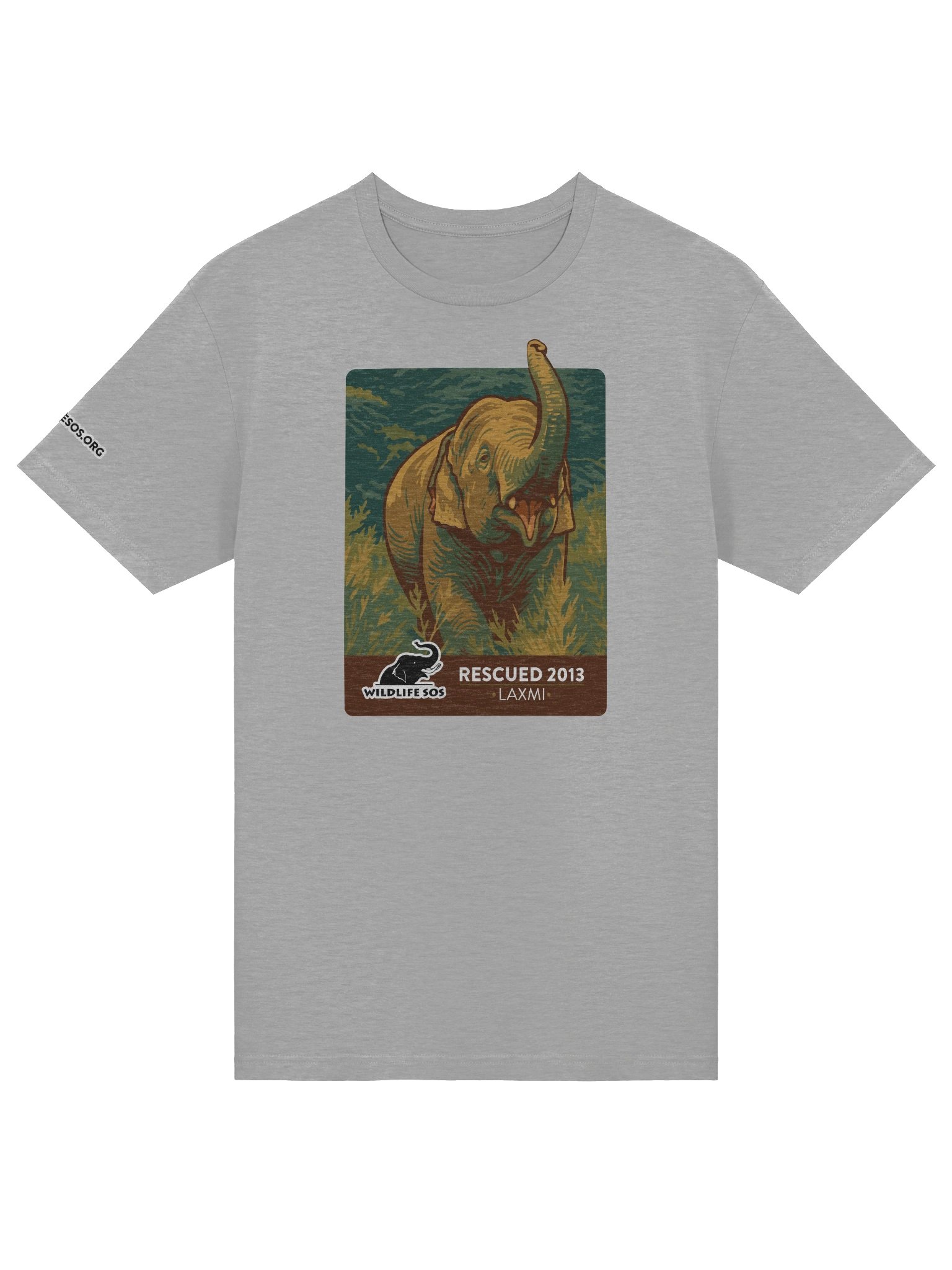 Laxmi - Rescued 2013! product image (20)