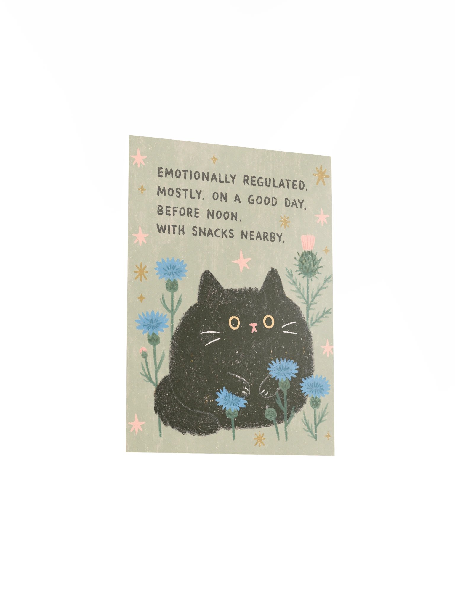Mostly Regulated Cat Poster product image (20)