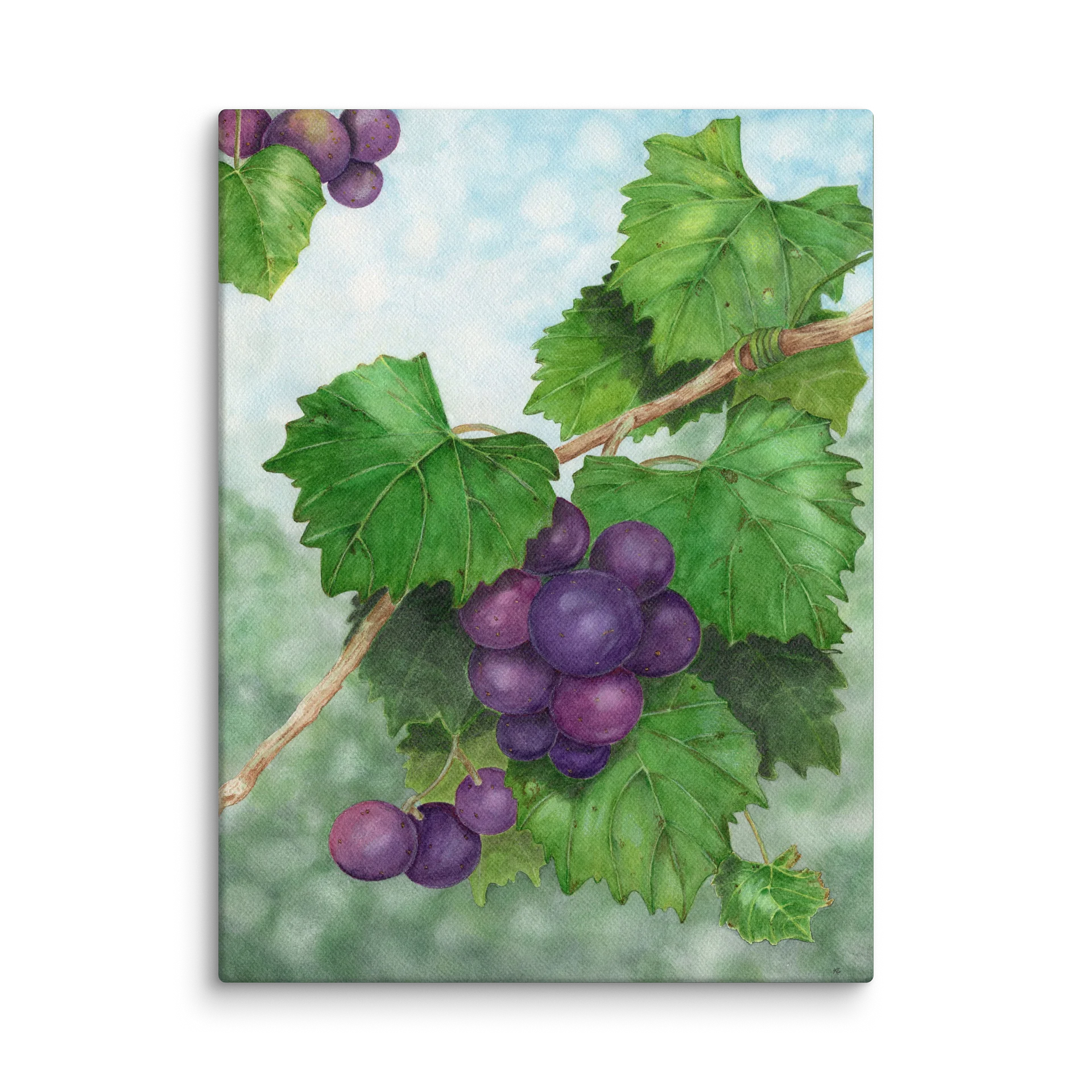 Muscadine Memories product image (1)
