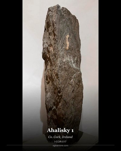Ogham Stone: Achadh Loiscthe | Ahalisky 1

Uncovering the ancient world, one stone at a time. Meet the Achadh Loiscthe | Ahal...