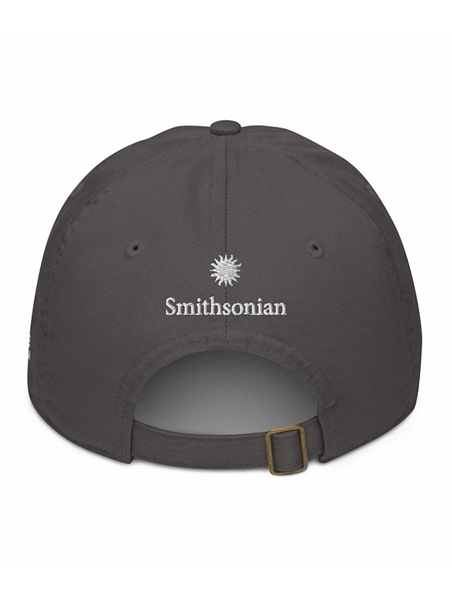 National Air & Space Museum Logo Hat Image 3