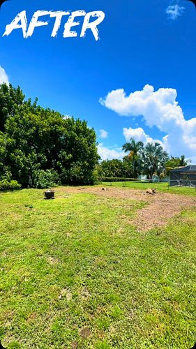 Big tree gone, clean yard transformation! 🌳💪✨ #BeforeAndAfter #TreeRemoval #grassking