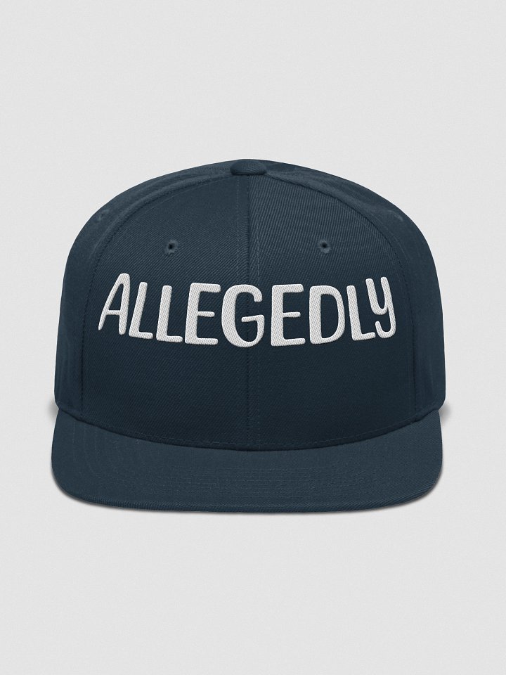ALLEGEDLY POLITICAL EMBROIDERY HAT product image (1)
