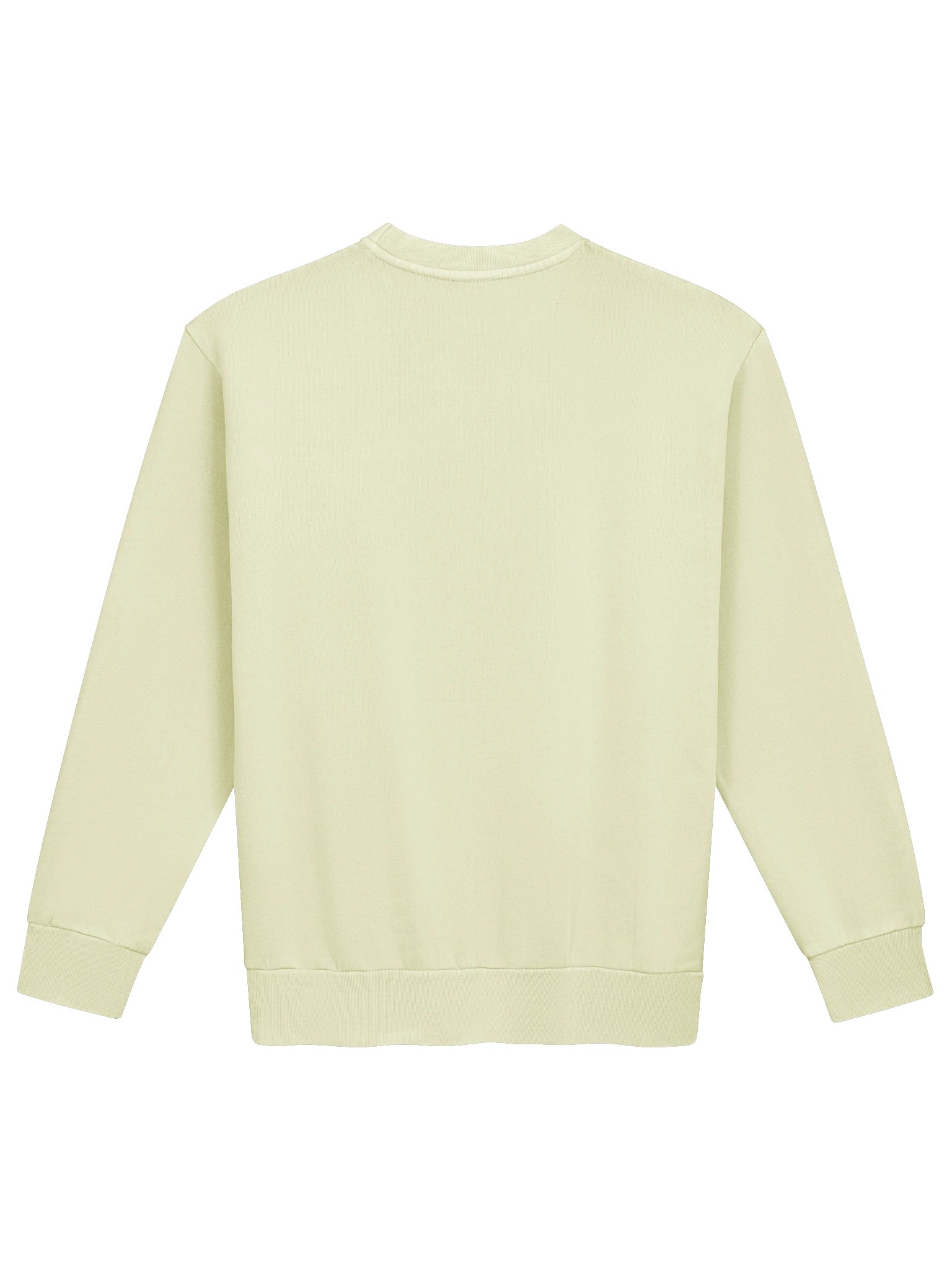 CS Oversized Sweatshirt product image (2)