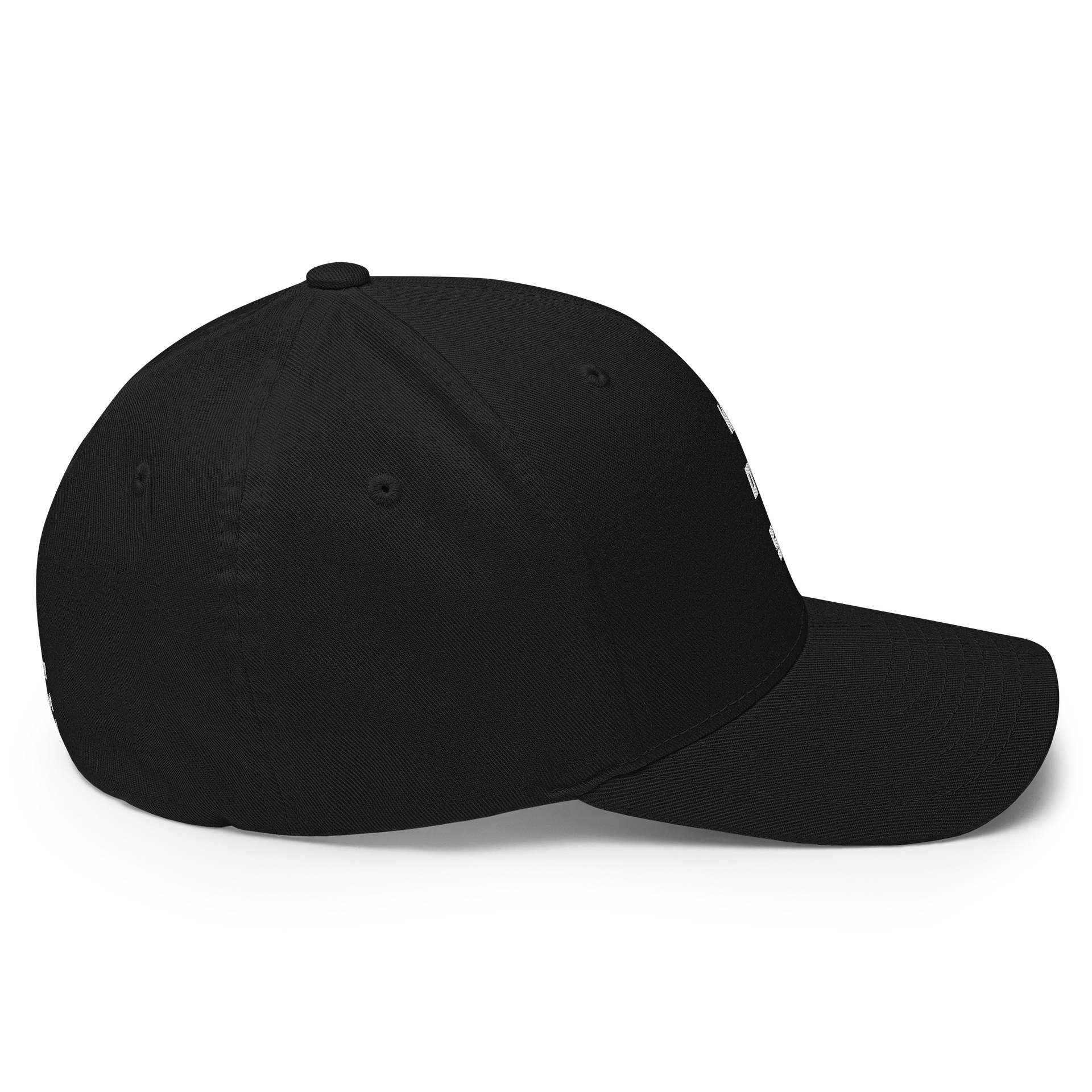 WeOwtsyd Mid Crown Flexfit Hat product image (16)