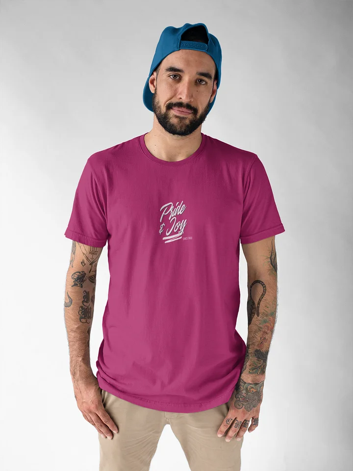 Embroidered Pride & Joy Since 1969 Tee product image (37)
