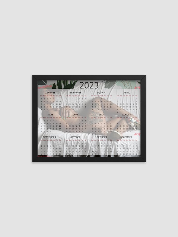 Framed High-Quality Matte Poster product image (1)