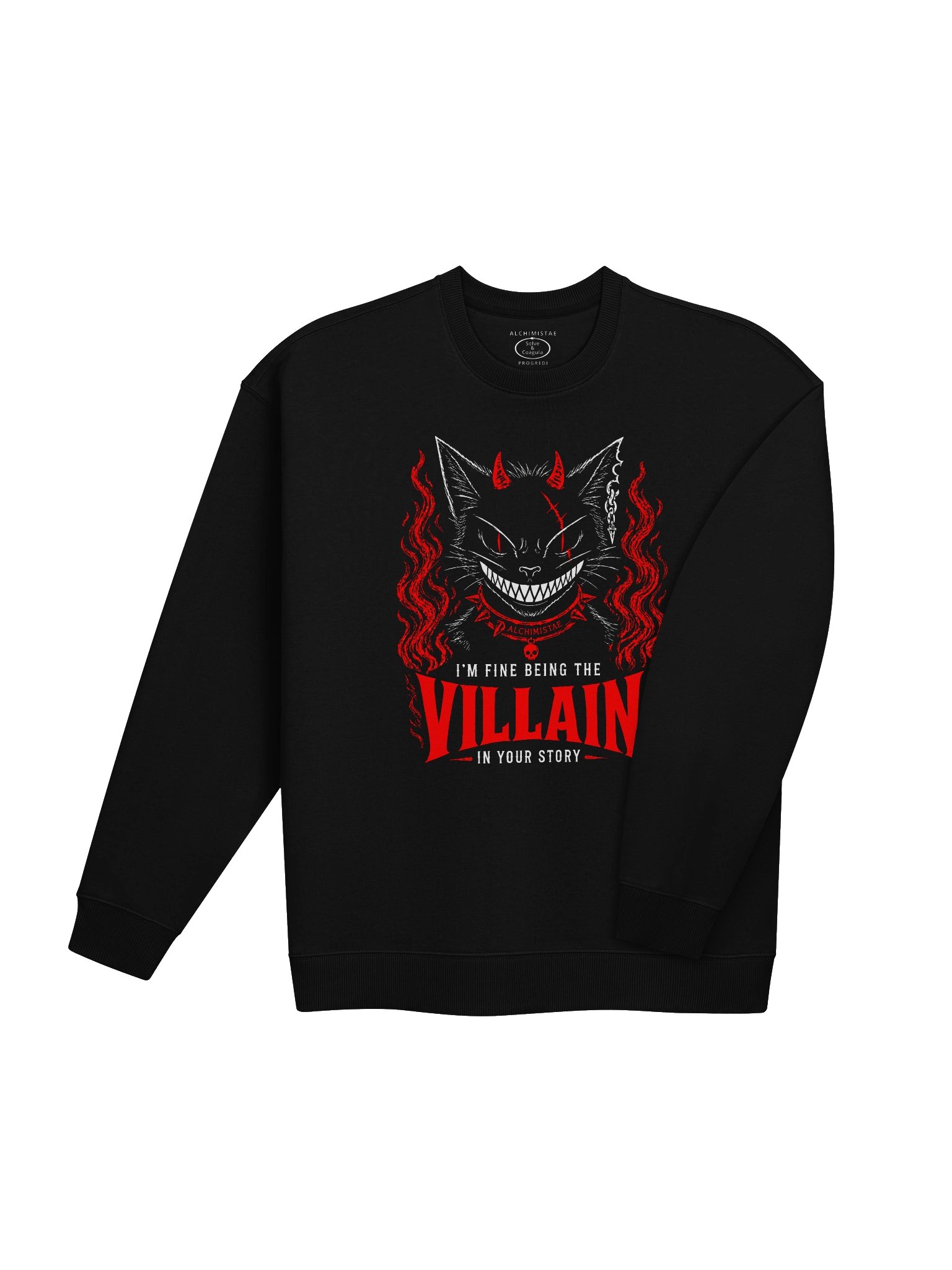 Sweatshirt Unisexe Oversize Coton Bio Poids Lourd – The VILLAIN product image (8)