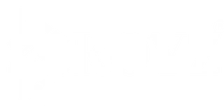 Broyz