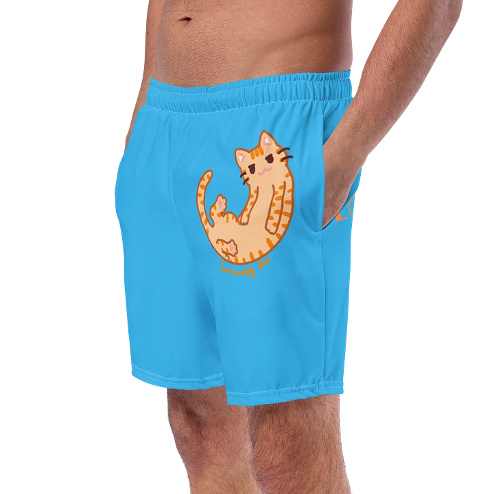 Looooong Boi Swim Shorts product image (2)