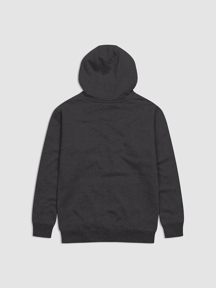 WYM Retro Hoodie product image (2)