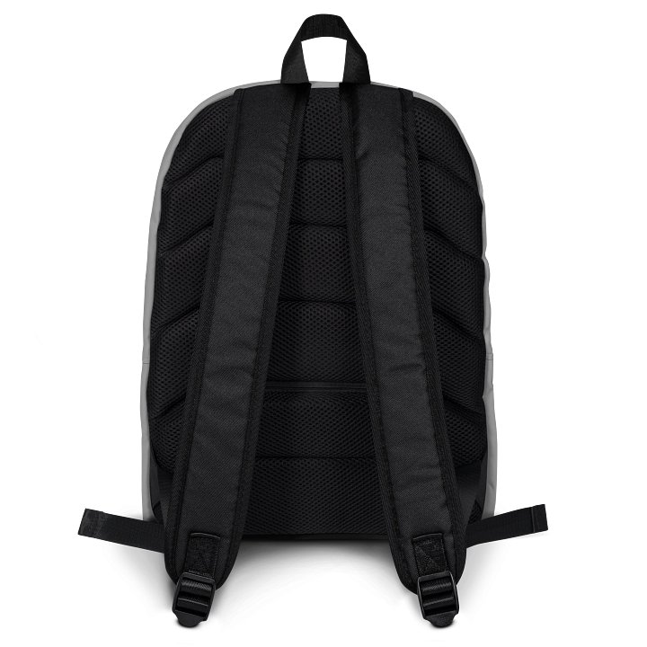 Gray Backpack product image (2)