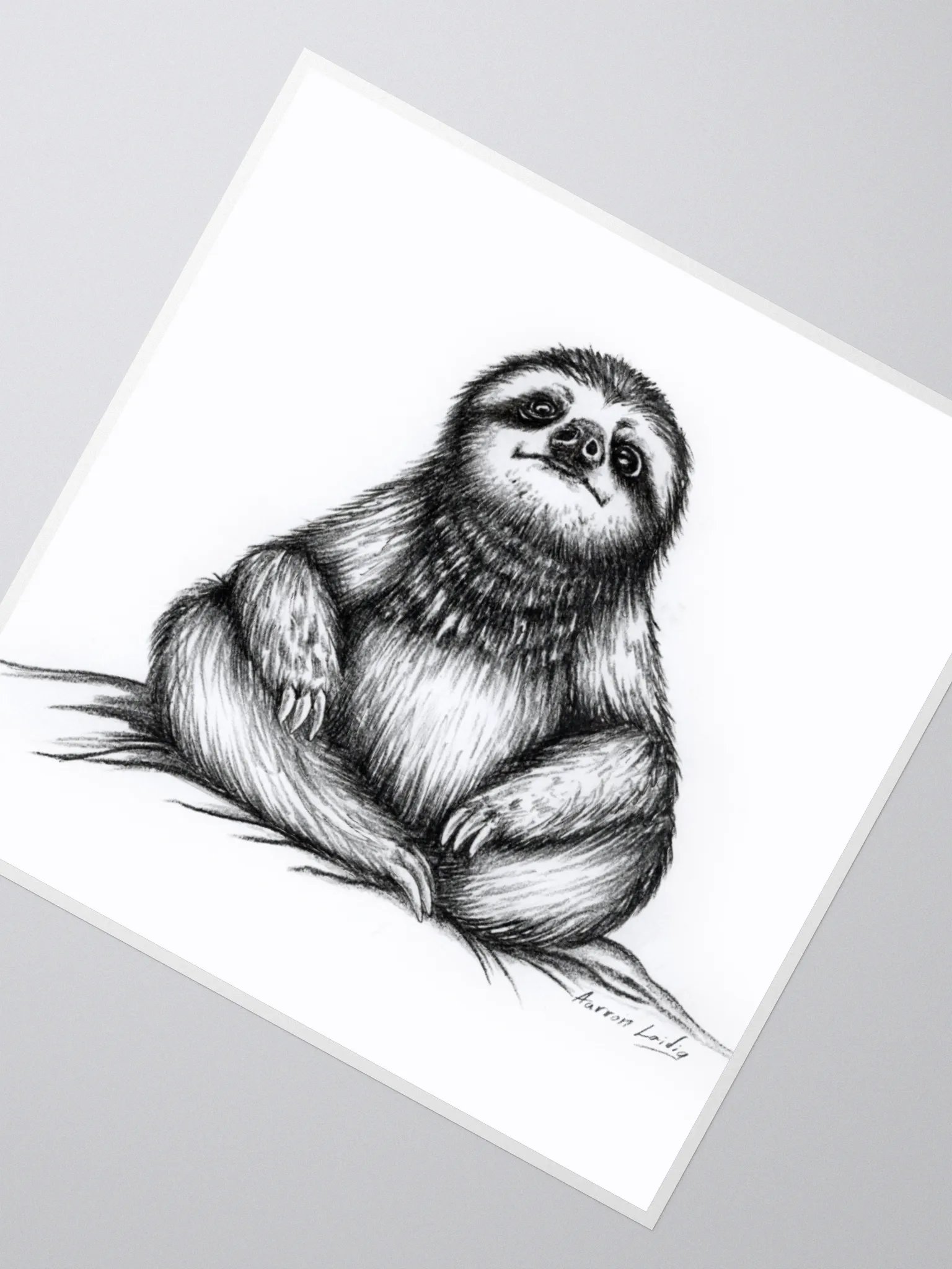 Stoic Meditation Sloth Vinyl sticker product image (6)