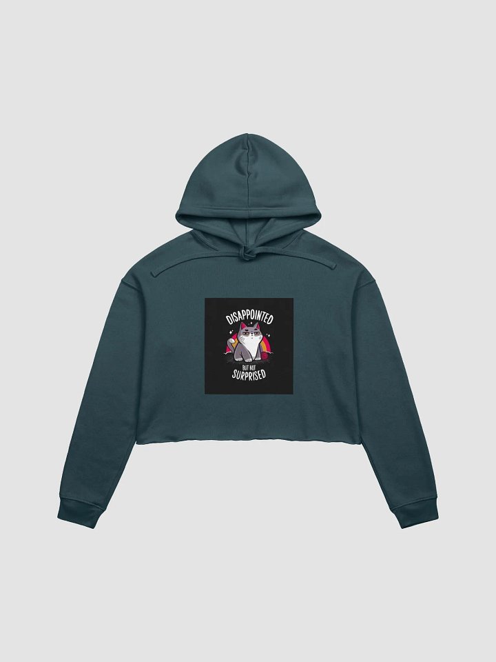 Disappointed But Not Surprised Cat Crop Hoodie product image (7)