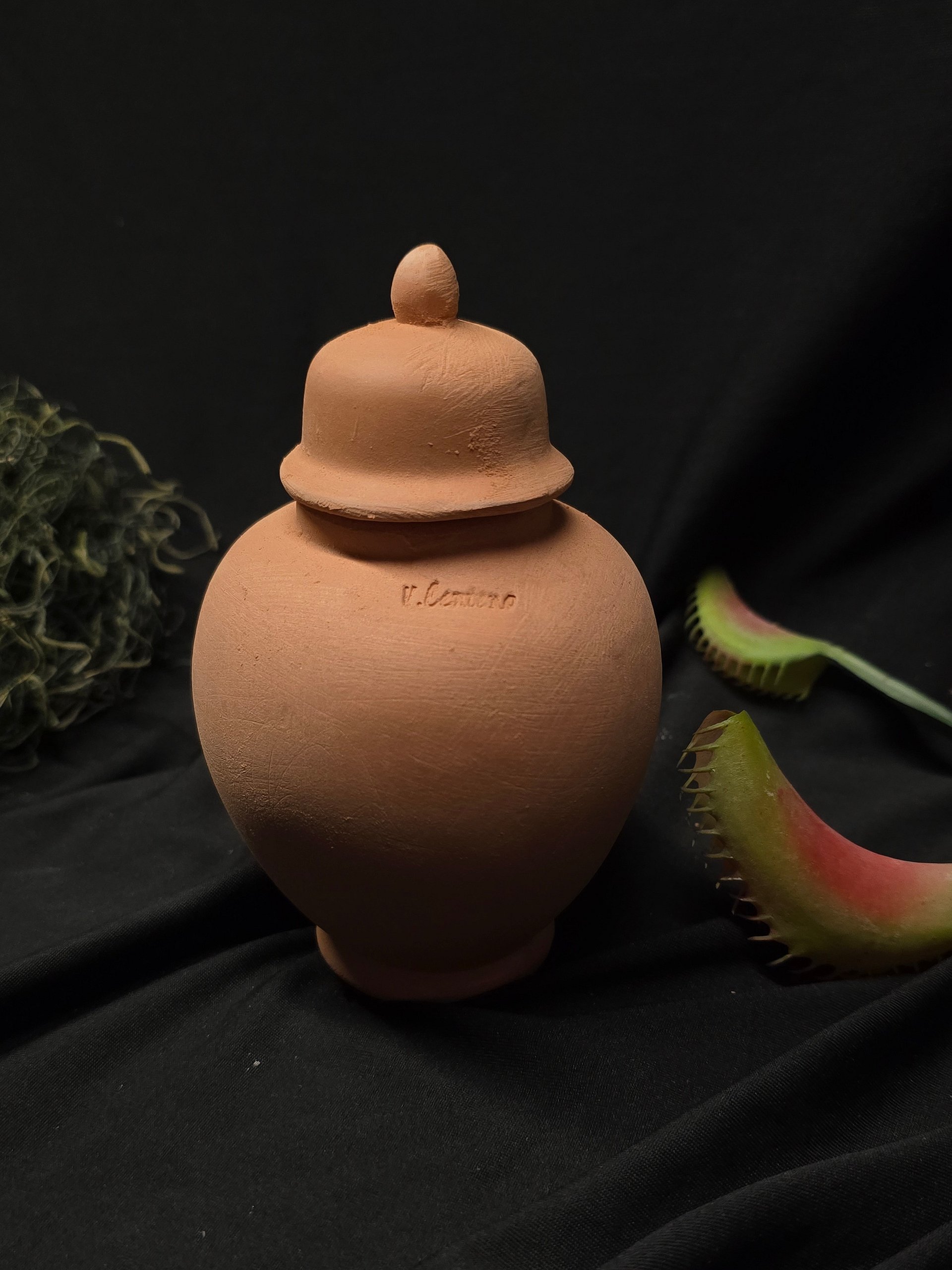 Terracotta Houseplant Olla Watering System-Gothic Top product image (3)