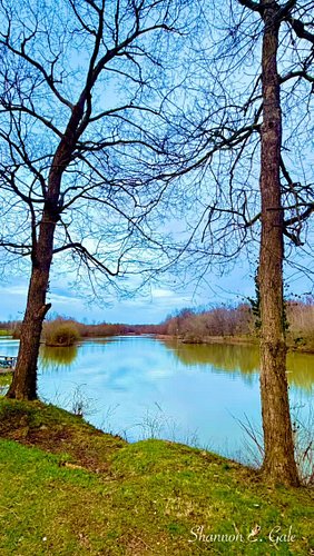This is a wonderful time of year to do some forest bathing. Get fresh air, sun on your skin, and reap all the benefits that n...