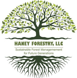 Haney Forestry