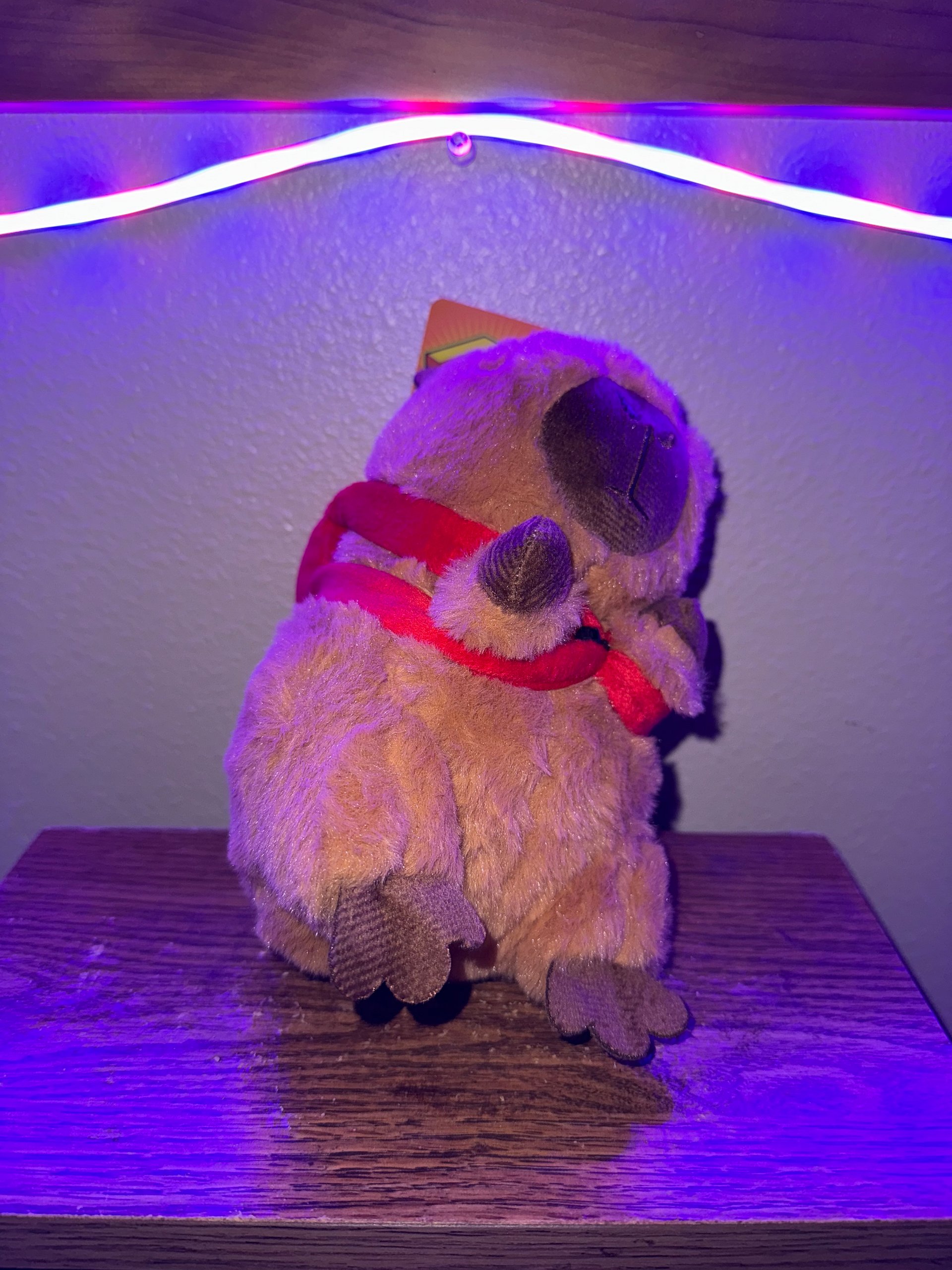 Capybara w/ Backpack Plush product image (3)