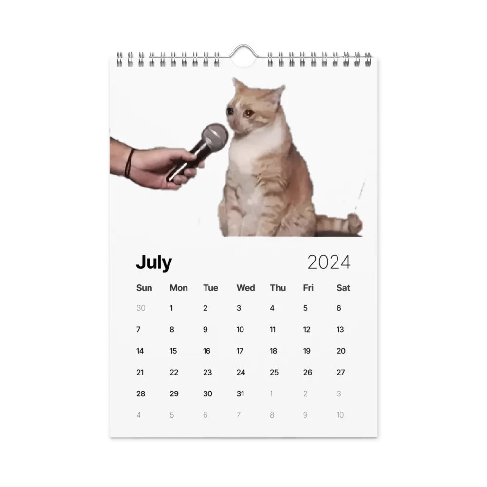 Wall Calendar (2024): Meme Cats product image (10)