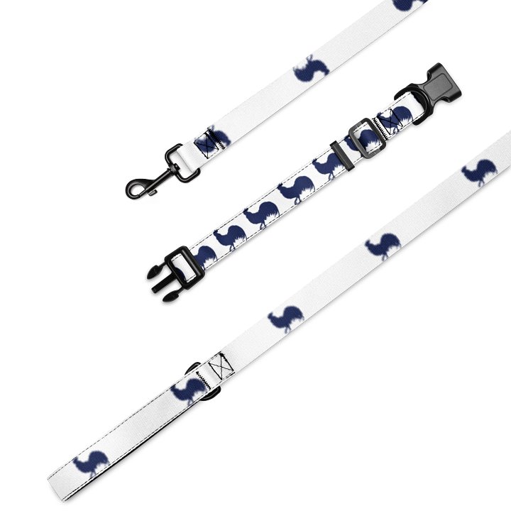 VBC Pet Leash & Collar product image (1)